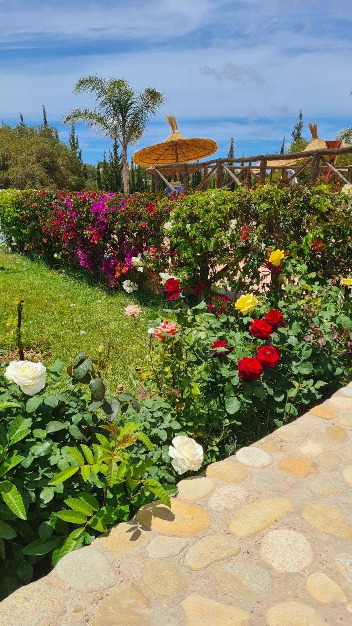 Hotel Amma 4*